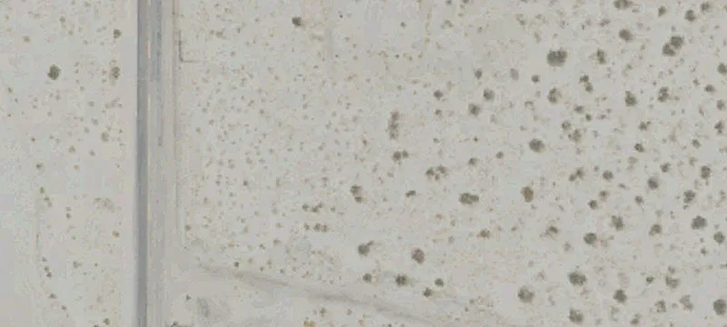Desert Hot Springs, CA 92240