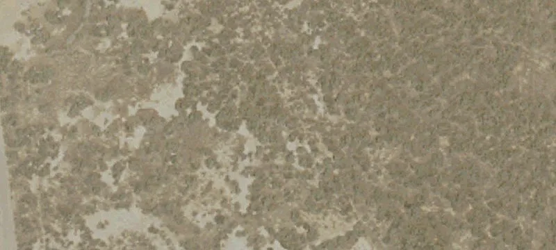 Buttonwillow, CA 93206