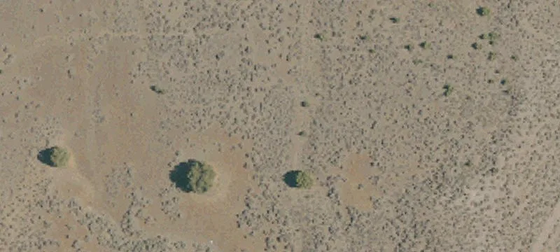 Litchfield, CA 96117