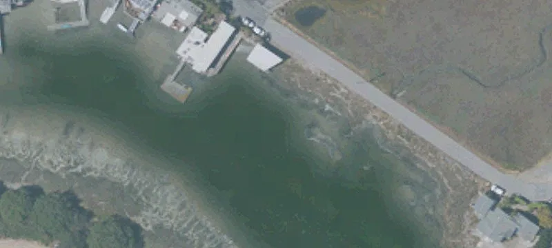 San Rafael, CA 94901
