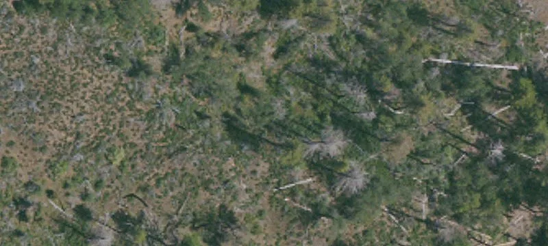 Cobb, CA 95426