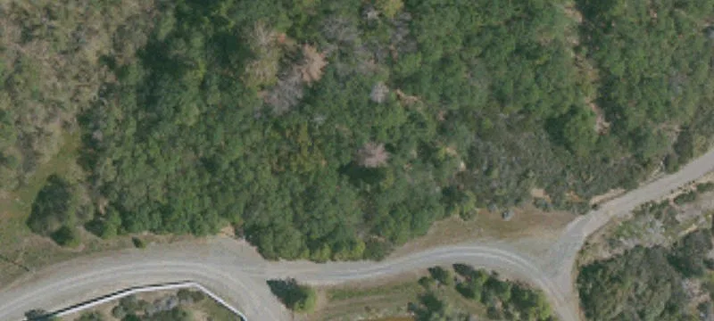 Cobb, CA 95426