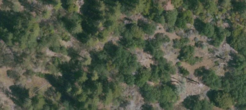 Cobb, CA 95426