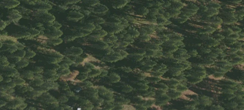 Adin, CA 96006