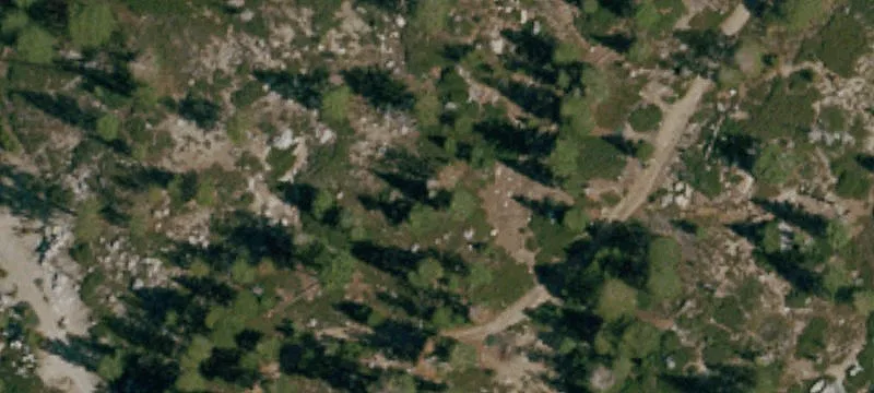 Bear Valley, CA 95223