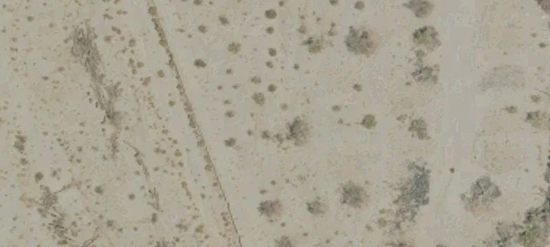 Desert Center, CA 92239