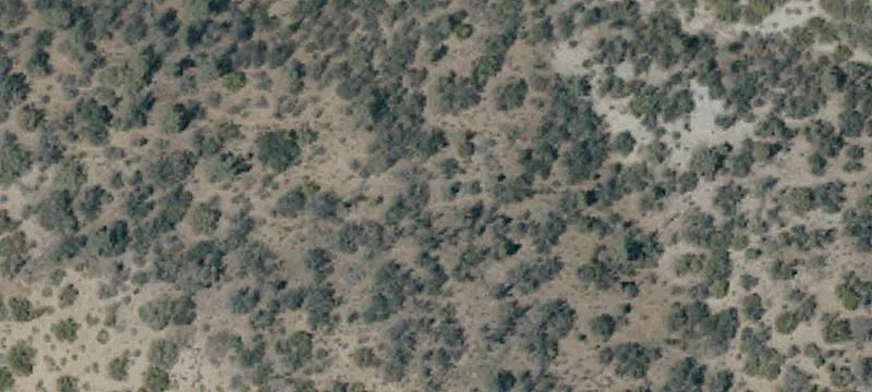 Caliente, CA 93518