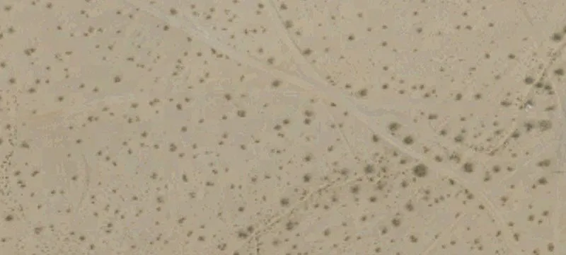 Ridgecrest, CA 93555