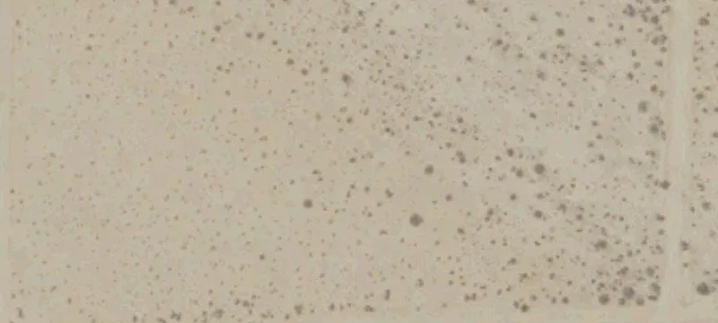 Mojave, CA 93501