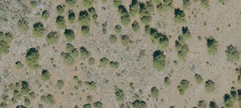 Termo, CA 96132