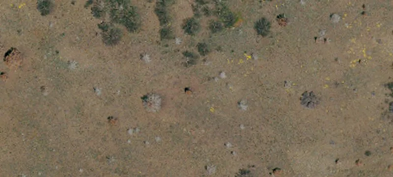 Mcarthur, CA 96056