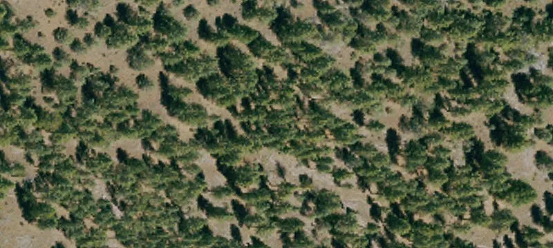 Bieber, CA 96009