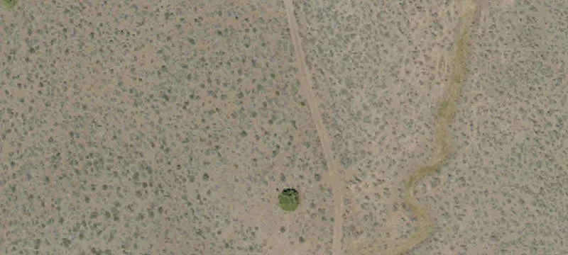 Ravendale, CA 96123