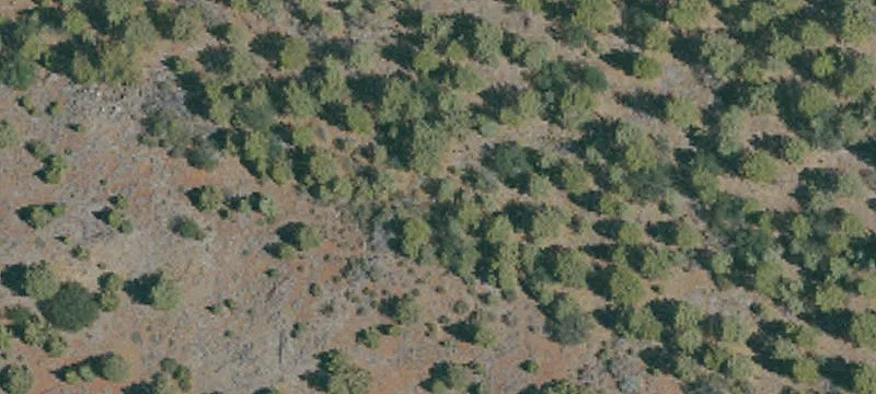 Susanville, CA 96130