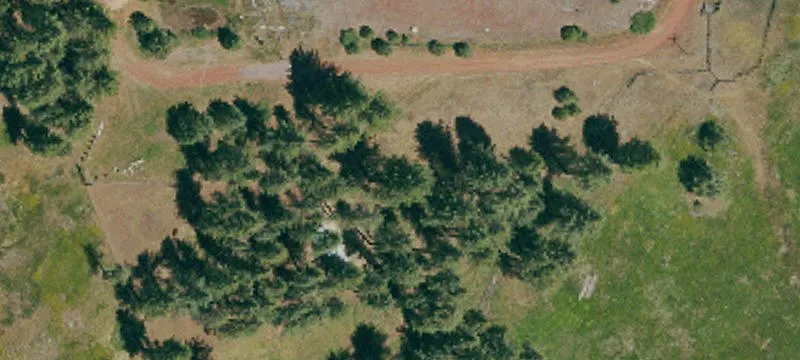 Westwood, CA 96137