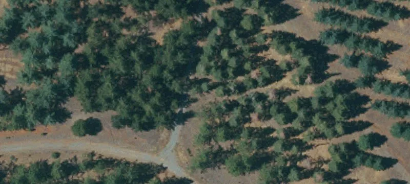 Camino, CA 95709