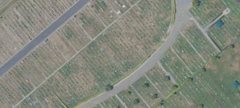 Colma, CA 94014