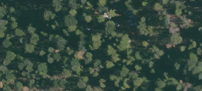 Pollock Pines, CA 95726
