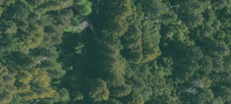 San Rafael, CA 94901