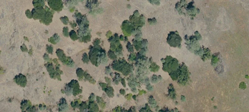 Dos Rios, CA 95429