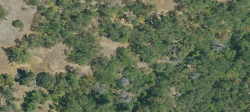 Covelo, CA 95428