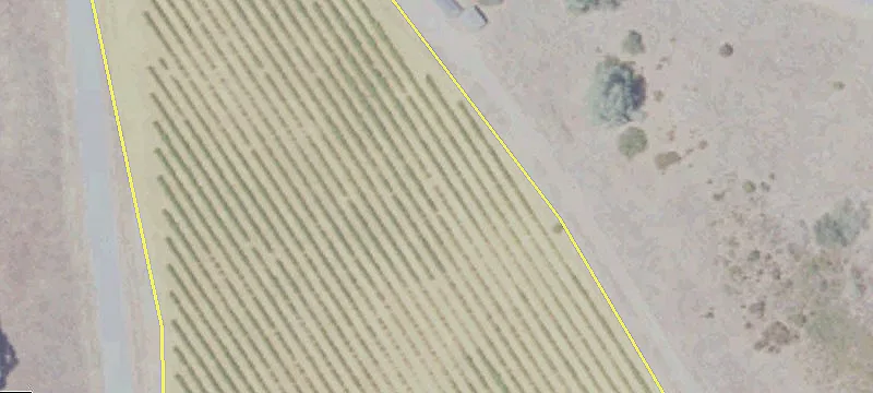 Pilot Hill, CA 95664