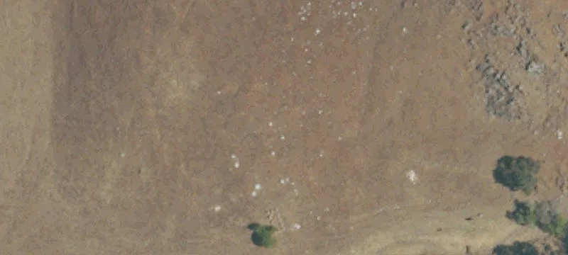 Raymond, CA 93653