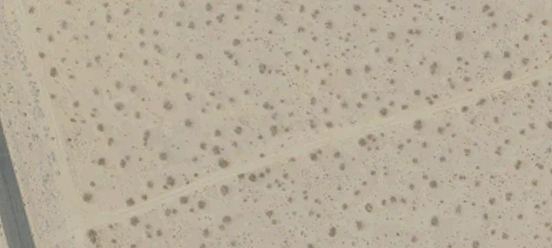 Mojave, CA 93501