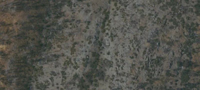 Orland, CA 95963