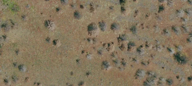Mcarthur, CA 96056