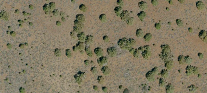 Ravendale, CA 96123