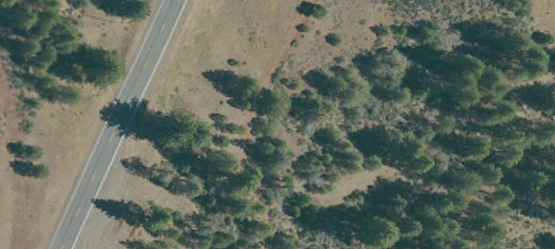 Bieber, CA 96009