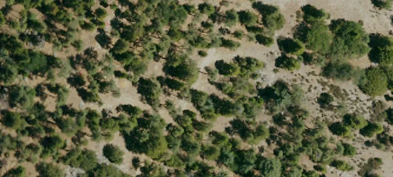 Idyllwild, CA 92549
