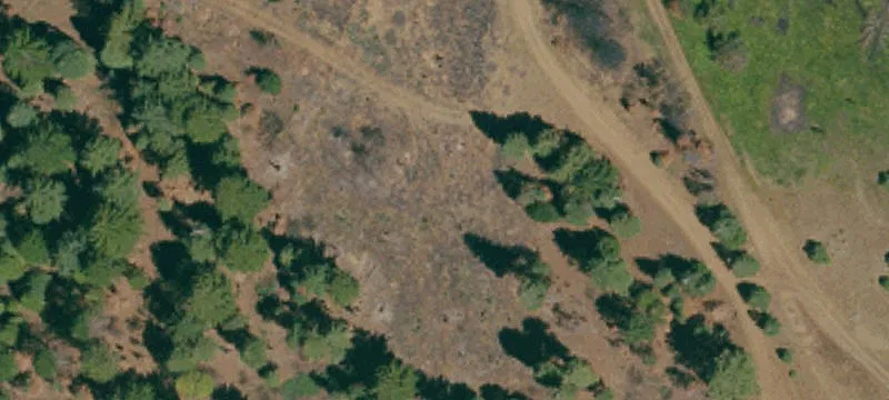 Westwood, CA 96137