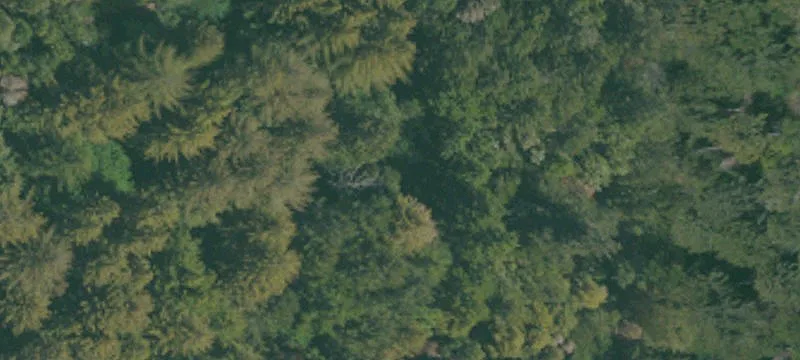 Loma Mar, CA 94021