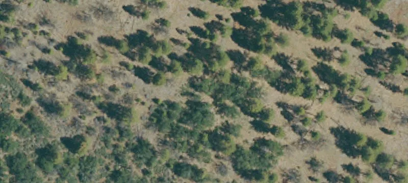 Mcarthur, CA 96056