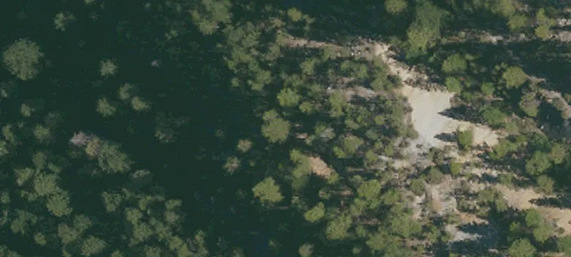 Alleghany, CA 95910
