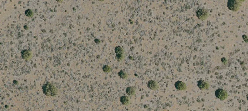 Ravendale, CA 96123
