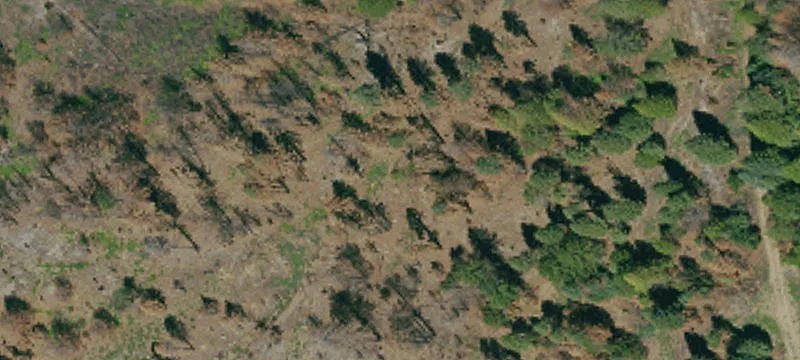 Westwood, CA 96137