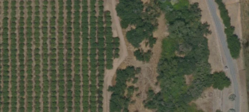 Orland, CA 95963