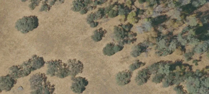 Amador City, CA 95601