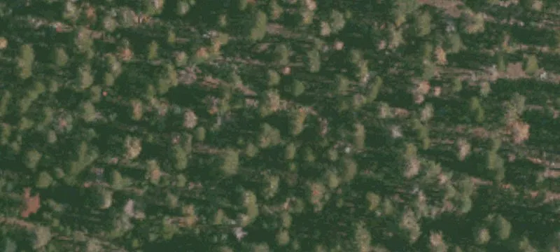 Shaver Lake, CA 93664