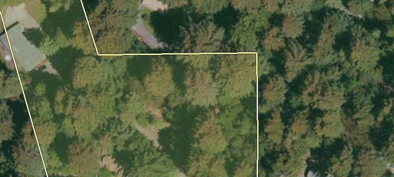 Ben Lomond, CA 95005