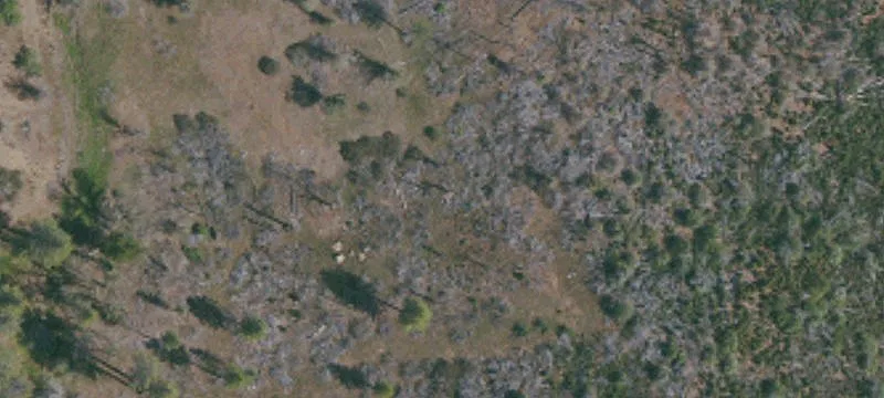Cobb, CA 95426