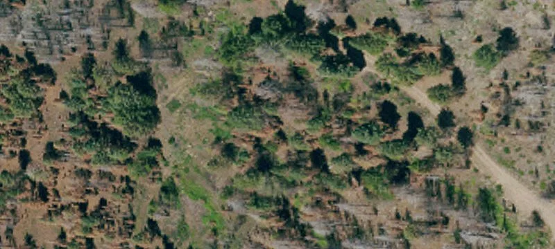 600-694 Gold Run Rd