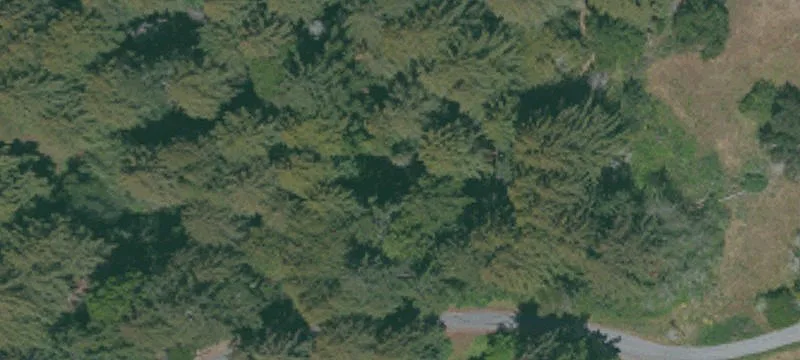 La Honda, CA 94020