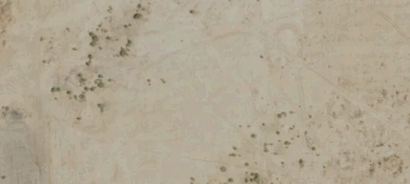 Blythe, CA 92225