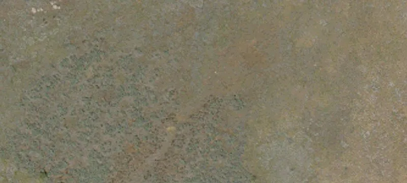 Anza, CA 92539