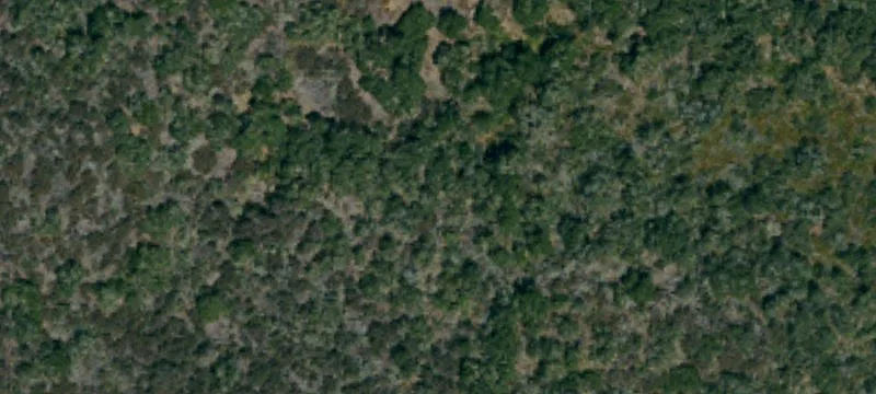 San Luis Obispo, CA 93401