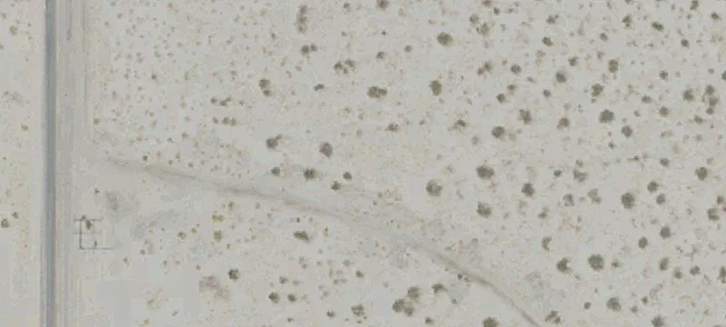 Desert Hot Springs, CA 92240